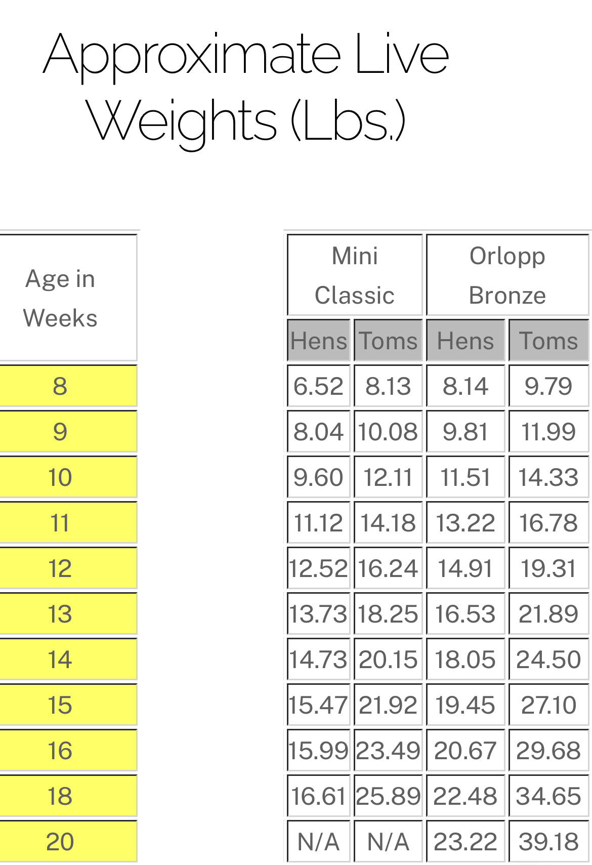Orlopp Bronze Turkey Poults - day old straightrun