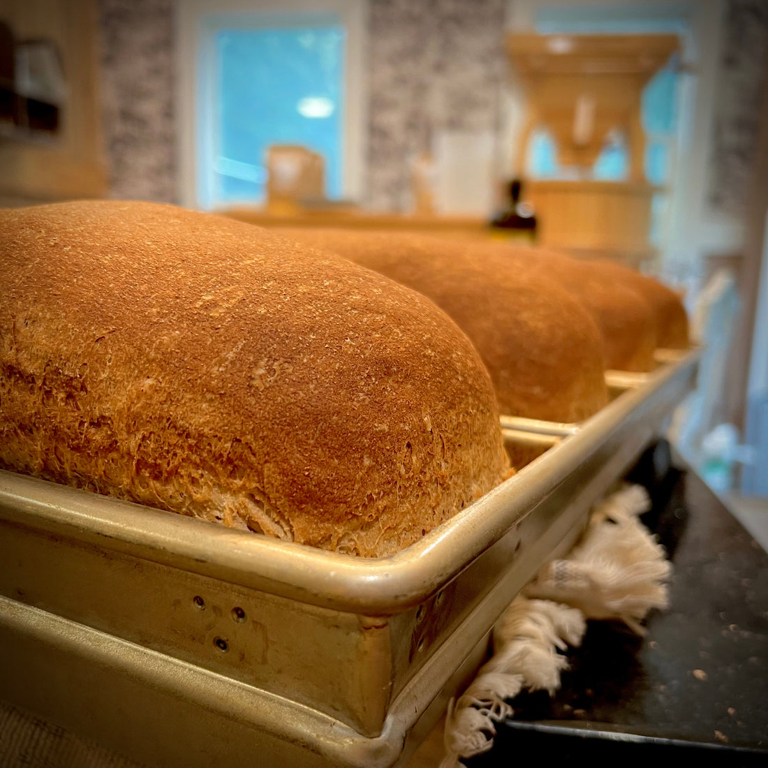 Tevah Bakery - Fresh Milled Heritage whole wheat bread recipe