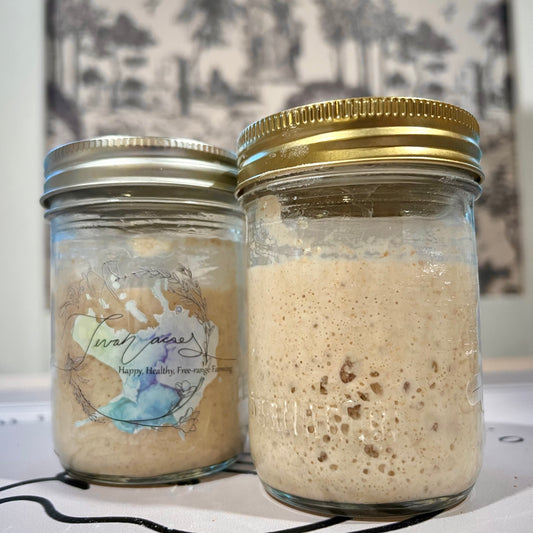 Tevah Flour Co. Sourdough starter