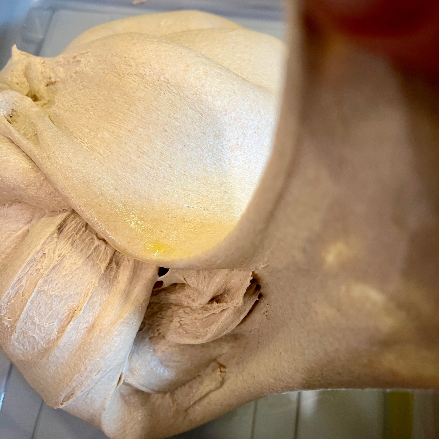 Stoneground hard white flour