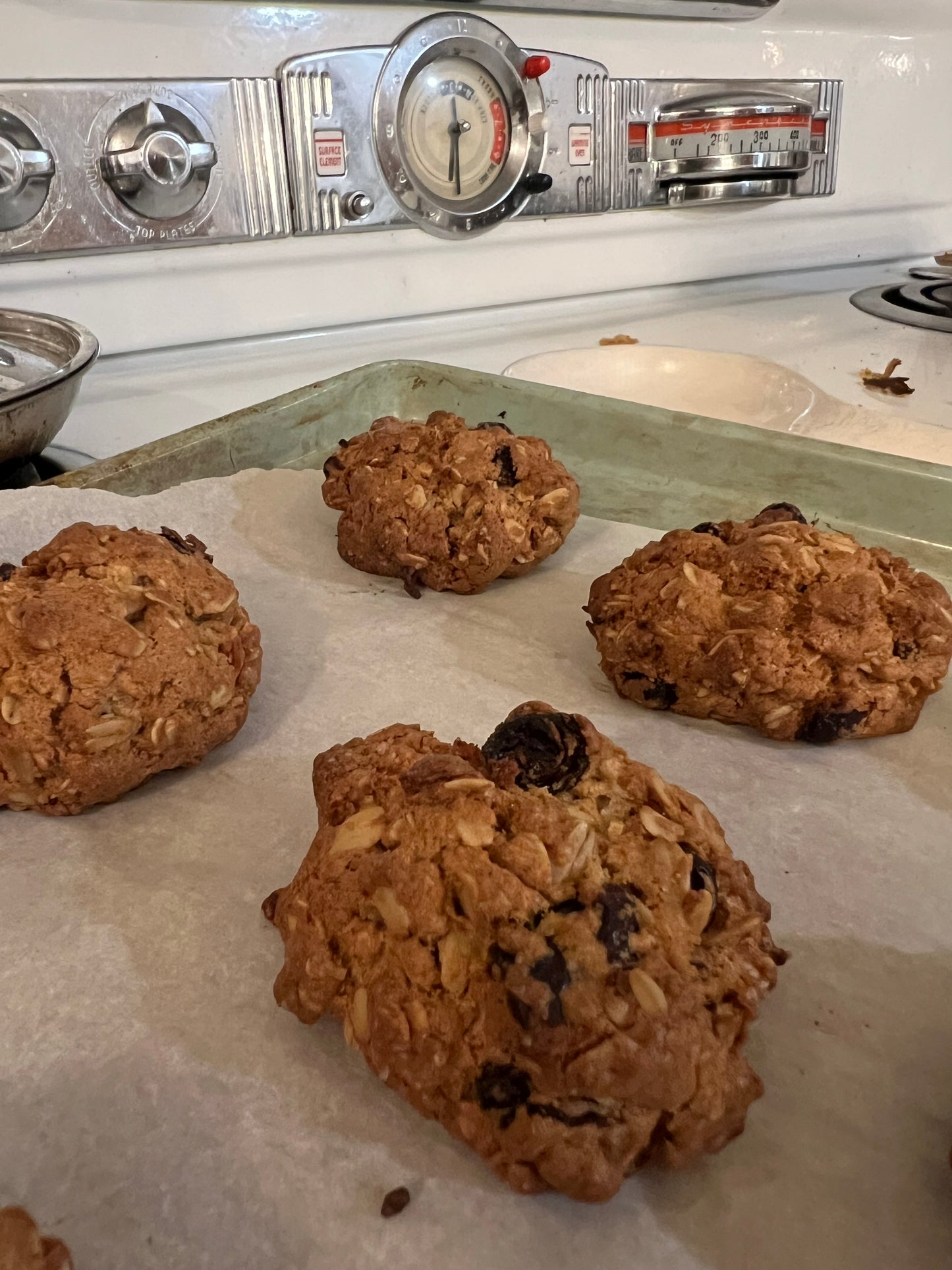 Every Good Thing Cookies - Spiced Cranberry Raisin Oats