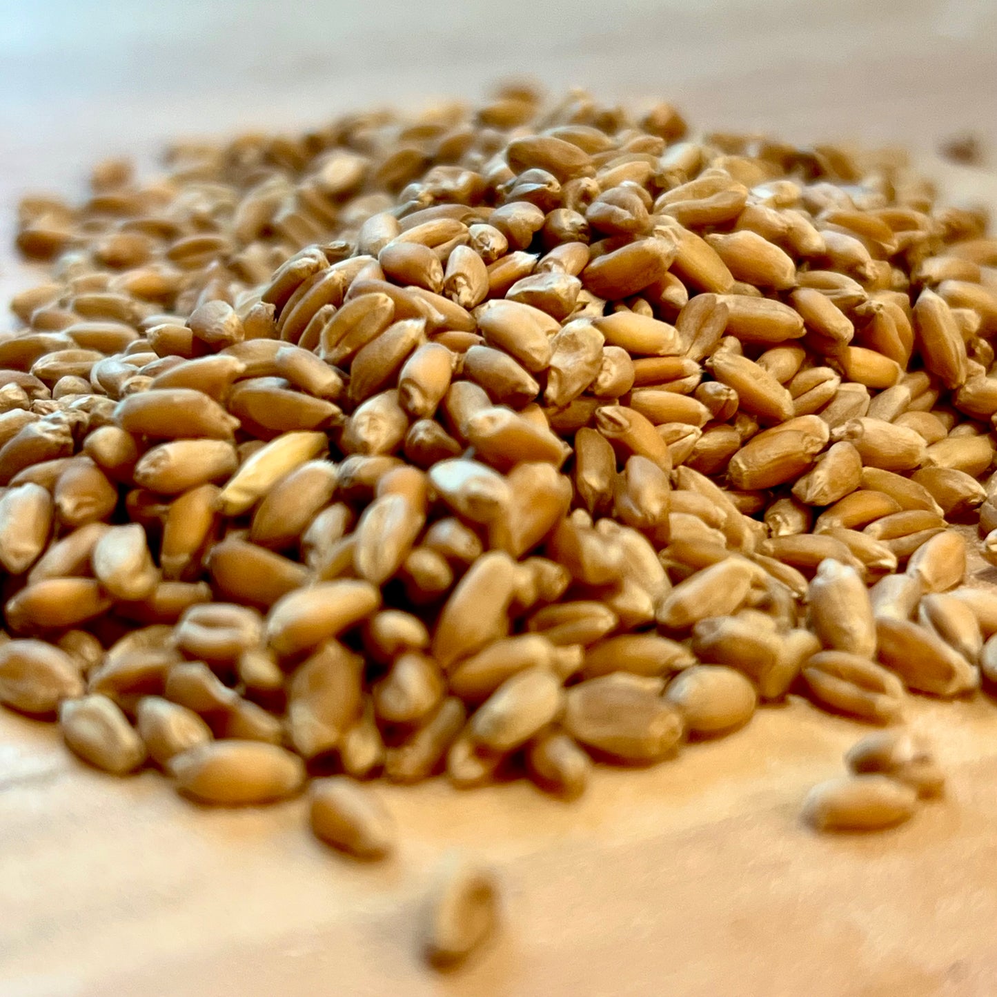 Fresh Milled Spelt Flour