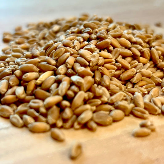 Fresh Milled Red Fife Flour