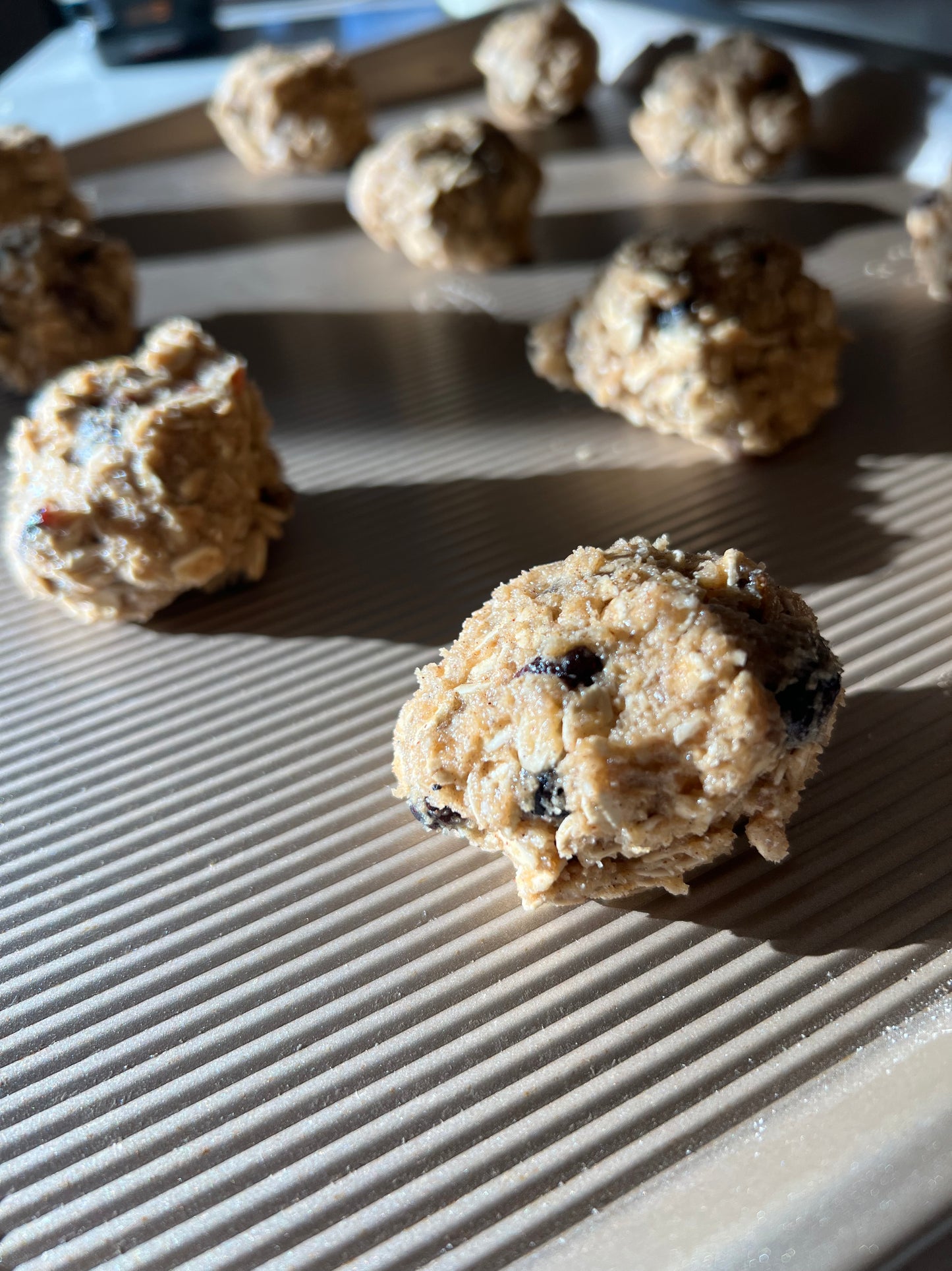 Every Good Thing Cookies - Spiced Cranberry Raisin Oats
