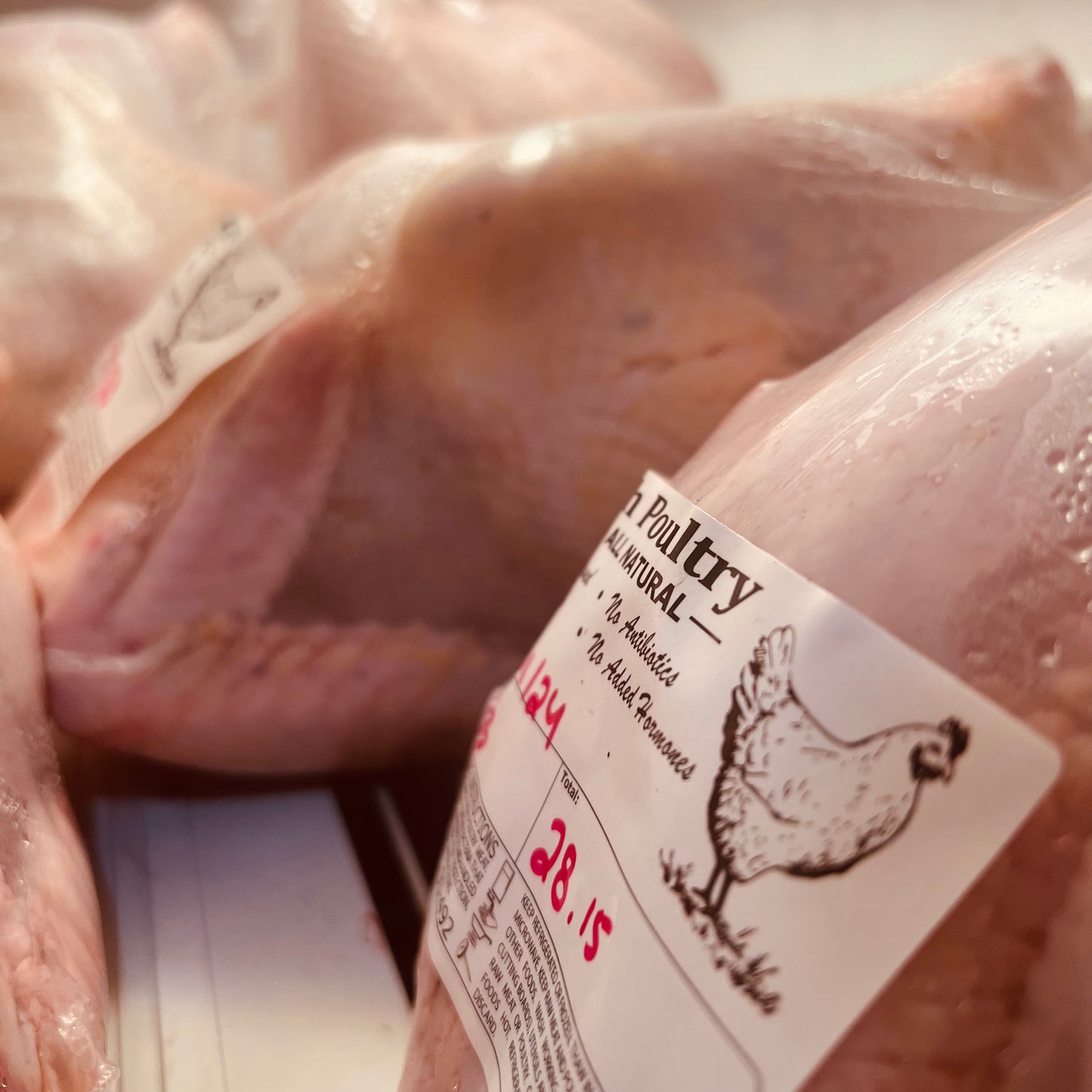 Mistral Gris Chicks - Artisanal Meat Birds