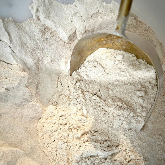 Stoneground hard white flour