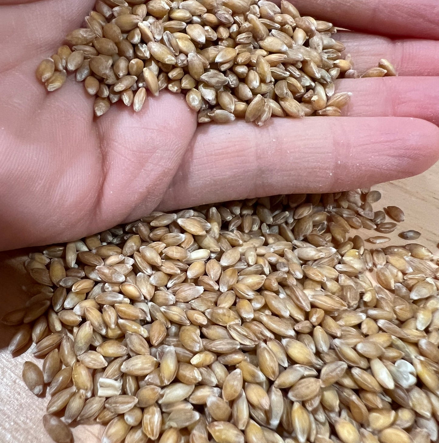 Fresh Milled Einkorn Flour