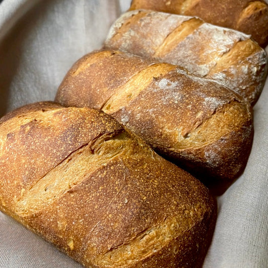 January 14 bake day - Two loaves Artisan Sourdough sandwich Bread