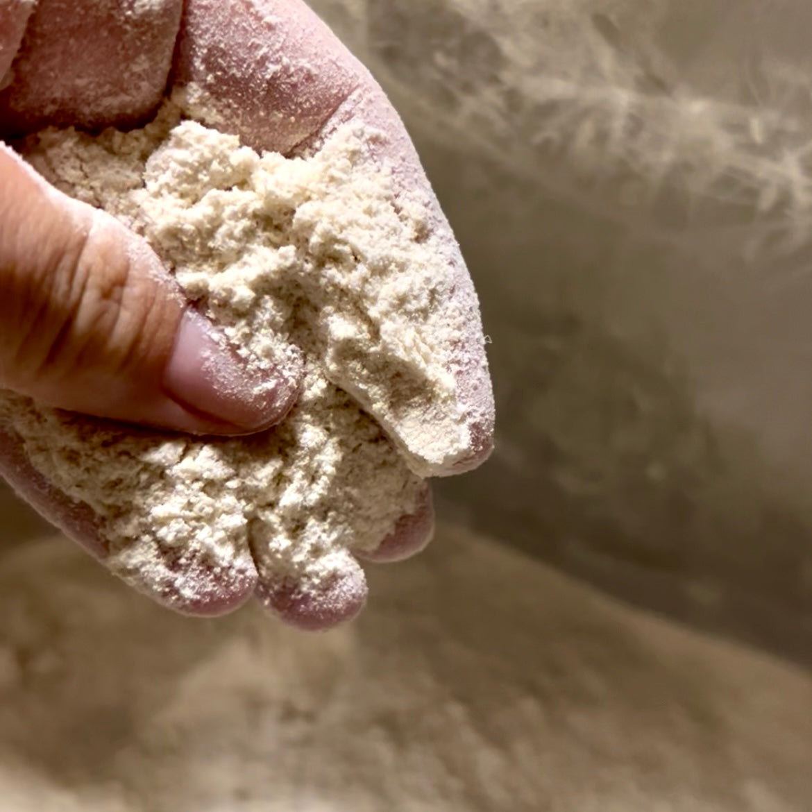 Stoneground hard red spring flour